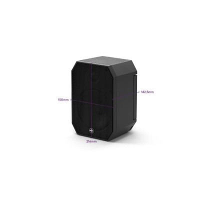 Satellite Speaker IP64 Client