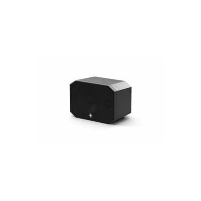 Satellite Speaker IP64 Client