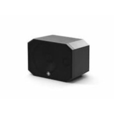 Satellite Speaker IP64 Client