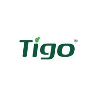TIGO